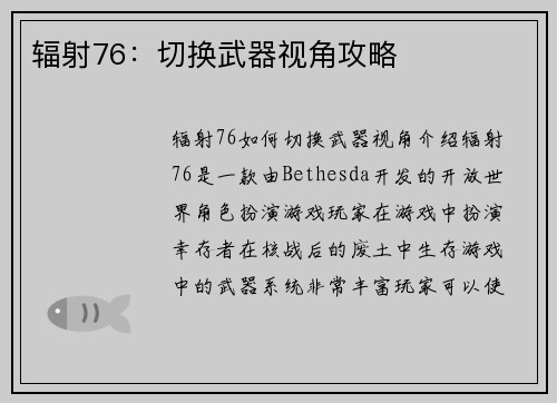 辐射76：切换武器视角攻略
